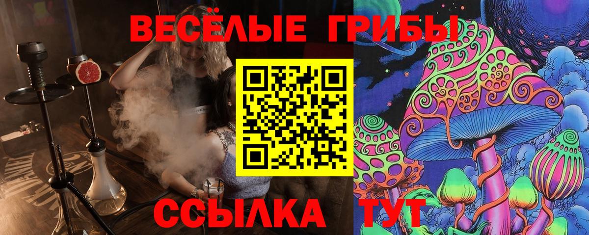 Галлюциногенные грибы ЛСД  продажа наркотиков  Дубна  Вход с VPN 